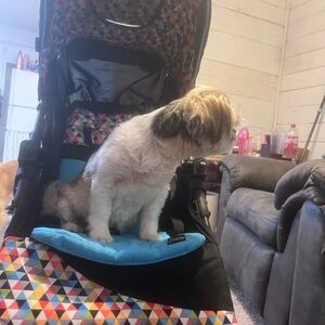 Colorful Pet Stroller with Geometric Pattern